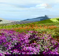 Wine tasting - Boutique farms - Accommodation Africa